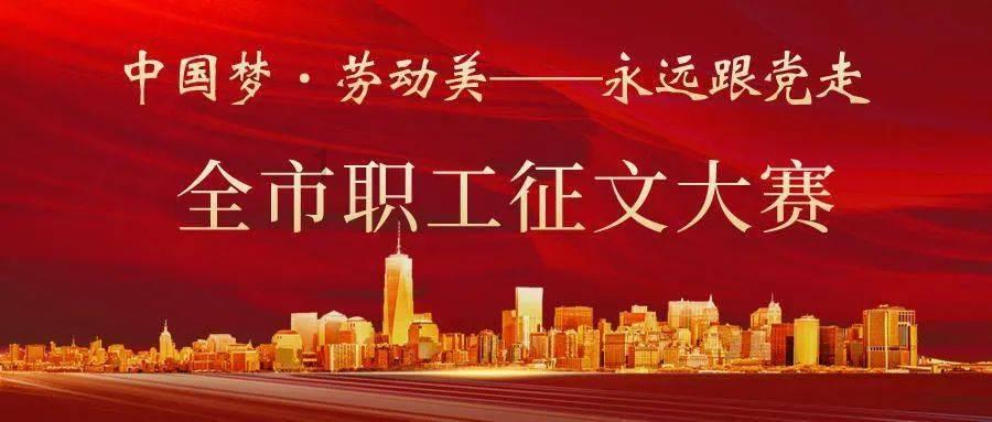 小鸡要回家